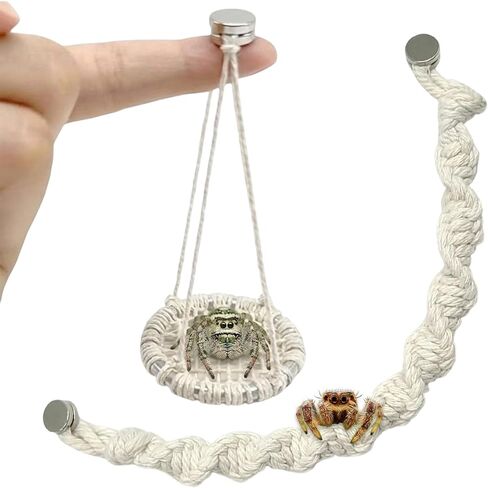 2 pcs Jumping Spider Accessories, Magnetic Jumping Spider Ropes, Jumping Spider Enclosure Decor, Mini Jumping Spider Habitat Enhancements, Two Magnetic Spider Ropes for Spider Enclosures in Kuwait