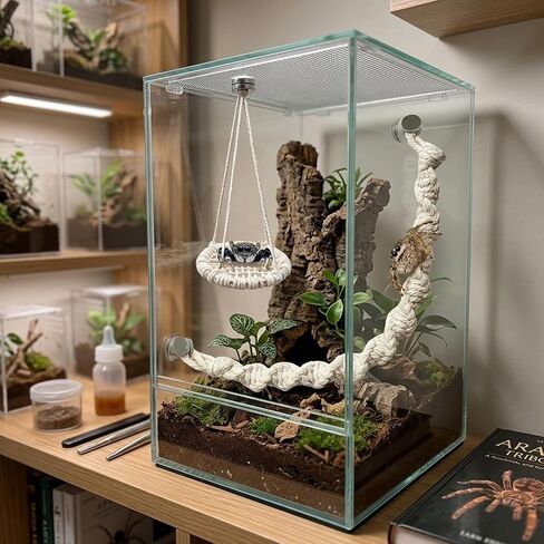 2 pcs Jumping Spider Accessories, Magnetic Jumping Spider Ropes, Jumping Spider Enclosure Decor, Mini Jumping Spider Habitat Enhancements, Two Magnetic Spider Ropes for Spider Enclosures in Kuwait