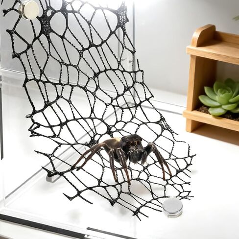 6Pcs Jumping Spider Habitat Accessories Enclosure Decor Spider Webbed Moss Ribbon SpiderTerrarium Decoration with Magnets Climbing and Feeding Platforms Kit Black in Kuwait