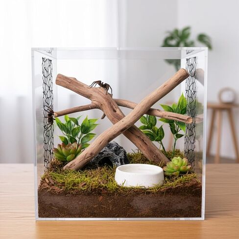 6Pcs Jumping Spider Habitat Accessories Enclosure Decor Spider Webbed Moss Ribbon SpiderTerrarium Decoration with Magnets Climbing and Feeding Platforms Kit Black in Kuwait