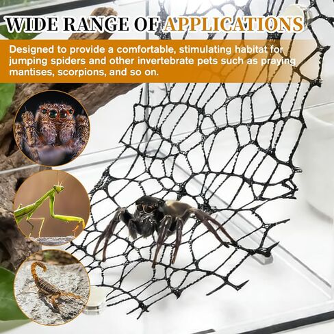 6Pcs Jumping Spider Habitat Accessories Enclosure Decor Spider Webbed Moss Ribbon SpiderTerrarium Decoration with Magnets Climbing and Feeding Platforms Kit Black in Kuwait