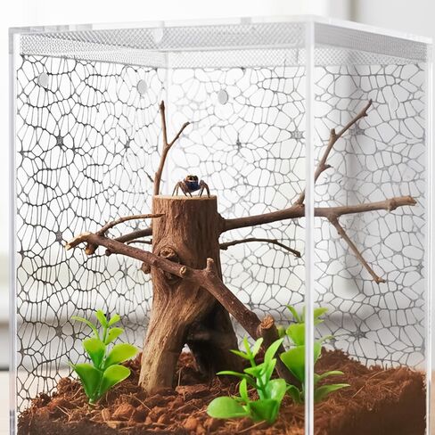 6Pcs Jumping Spider Habitat Accessories Enclosure Decor Spider Webbed Moss Ribbon SpiderTerrarium Decoration with Magnets Climbing and Feeding Platforms Kit Black in Kuwait