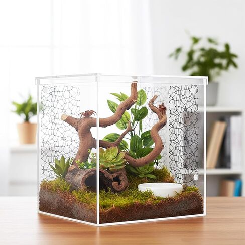 6Pcs Jumping Spider Habitat Accessories Enclosure Decor Spider Webbed Moss Ribbon SpiderTerrarium Decoration with Magnets Climbing and Feeding Platforms Kit Black in Kuwait