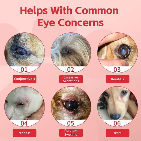 Cataract Eye Drops for Dogs – Improve Vision Clarity & Comfort, Preservative-Free, Natural Formula, 1.69 fl oz (50 mL) for Dogs and Cats in Kuwait