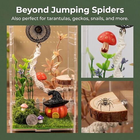 Jumping Spider Enclosure Accessories, 15PCS Decor Kit with Tarantula Habitat Hide Climbing Ledge Water Dish for Spider Tank Decorations in Kuwait