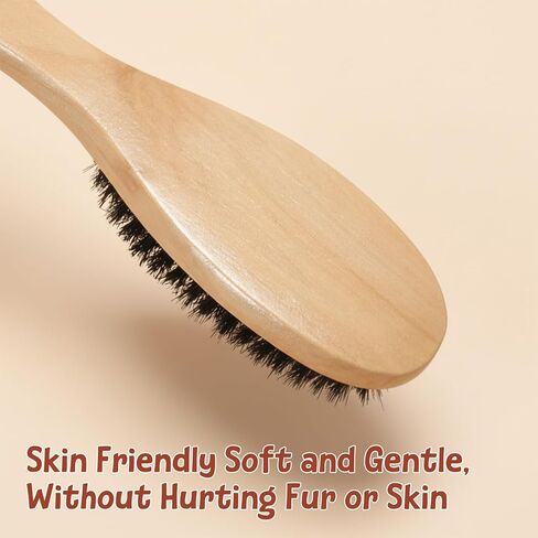 Boar Bristle Cat Brush Pet Soft Brush with Wood Handle Hair Dog Brushes for Short Haired Dogs Soft Cat and Dog Grooming Brushes for Short Hair Cats Small Dogs Gentle Massage Dandruff Removal in Kuwait