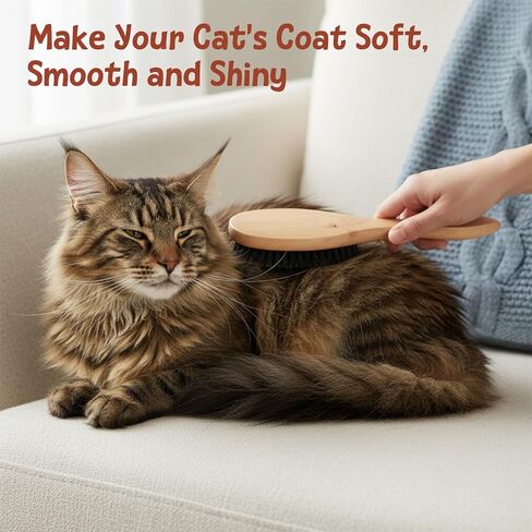 Boar Bristle Cat Brush Pet Soft Brush with Wood Handle Hair Dog Brushes for Short Haired Dogs Soft Cat and Dog Grooming Brushes for Short Hair Cats Small Dogs Gentle Massage Dandruff Removal in Kuwait