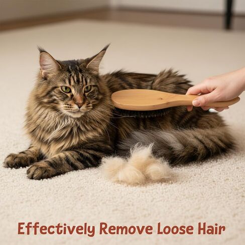 Boar Bristle Cat Brush Pet Soft Brush with Wood Handle Hair Dog Brushes for Short Haired Dogs Soft Cat and Dog Grooming Brushes for Short Hair Cats Small Dogs Gentle Massage Dandruff Removal in Kuwait