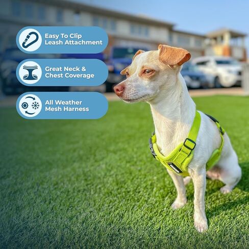 Best Pet Supplies Voyager Step-in Air All Weather Mesh Harness and Reflective Dog 5ft Leash Combo with Neoprene Handle, for Small, Medium and Large Breed Puppies - Set (Lime Green), XXX-Small in Kuwait