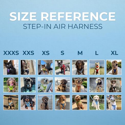 Best Pet Supplies Voyager Step-in Air All Weather Mesh Harness and Reflective Dog 5ft Leash Combo with Neoprene Handle, for Small, Medium and Large Breed Puppies - Set (Lime Green), XXX-Small in Kuwait
