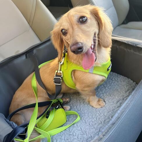 Best Pet Supplies Voyager Step-in Air All Weather Mesh Harness and Reflective Dog 5ft Leash Combo with Neoprene Handle, for Small, Medium and Large Breed Puppies - Set (Lime Green), XXX-Small in Kuwait