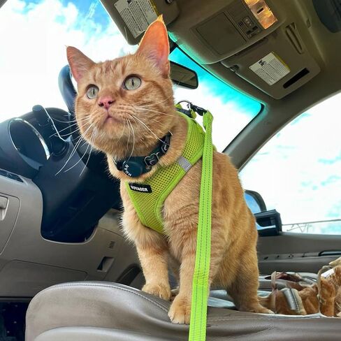 Best Pet Supplies Voyager Step-in Air All Weather Mesh Harness and Reflective Dog 5ft Leash Combo with Neoprene Handle, for Small, Medium and Large Breed Puppies - Set (Lime Green), XXX-Small in Kuwait
