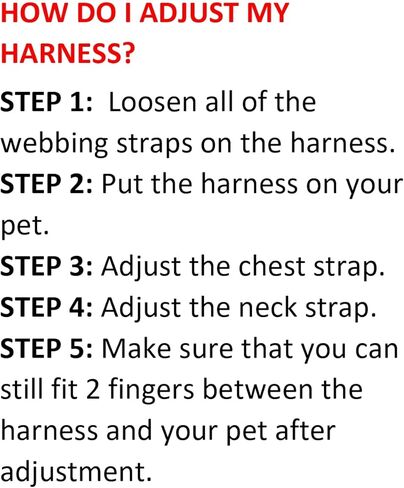 Best Pet Supplies Voyager Step-in Air All Weather Mesh Harness and Reflective Dog 5ft Leash Combo with Neoprene Handle, for Small, Medium and Large Breed Puppies - Set (Lime Green), XXX-Small in Kuwait