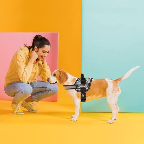 Dogline 3D Rubber Removable Patches for Dog Harness and Vest in Kuwait