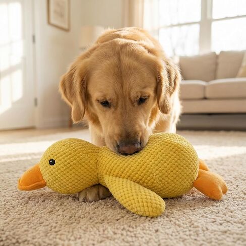 JINTONE Dog Duck Toy, Soft Plush Pineapple Texture, Realistic Quack Squeaky Toy for Anxiety Relief, Interactive Play, Suitable for Puppies and Medium to Large Breeds(Medium Size) in Kuwait