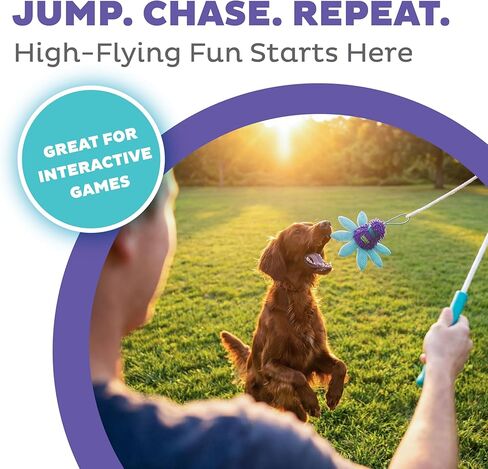 لعبة عصا الكلب من Outward Hound FlyFetch مع ملحق مجعد، متينة للعب في الأماكن المغلقة أو الهواء الطلق، جميع السلالات، 17.7 بوصة in Kuwait
