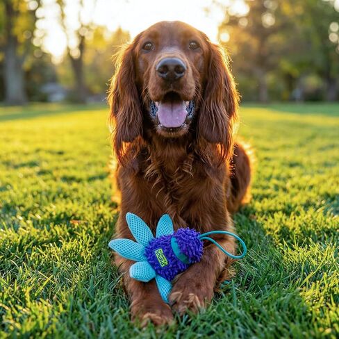 لعبة عصا الكلب من Outward Hound FlyFetch مع ملحق مجعد، متينة للعب في الأماكن المغلقة أو الهواء الطلق، جميع السلالات، 17.7 بوصة in Kuwait