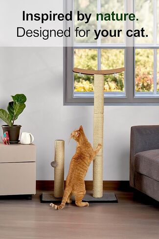 Cat Scratching Post with Perch for Large Cats – Modern Hammock Window Bed, Strong Suction Cups, Durable Eco, Space Saving Furniture for Indoor Cats in Kuwait