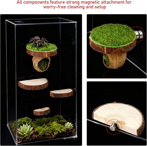 Jumping Spider Hide with Magnets with 3 Semi-Circle Ledges, Natural Wood Climbing Gyms for Jumping Spiders, Tarantulas, Geckos Enclosure in Kuwait