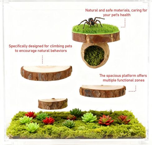 Jumping Spider Hide with Magnets with 3 Semi-Circle Ledges, Natural Wood Climbing Gyms for Jumping Spiders, Tarantulas, Geckos Enclosure in Kuwait