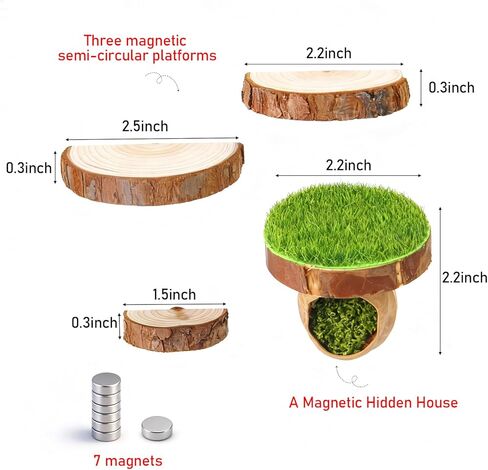 Jumping Spider Hide with Magnets with 3 Semi-Circle Ledges, Natural Wood Climbing Gyms for Jumping Spiders, Tarantulas, Geckos Enclosure in Kuwait