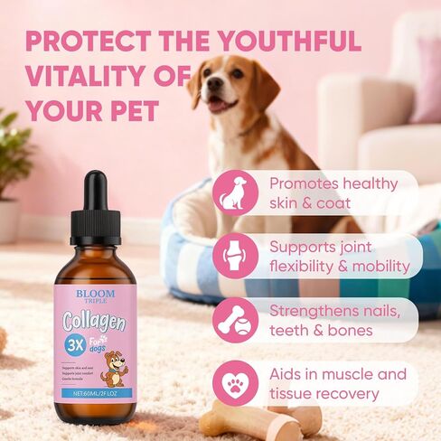 Bloom Triple Collagen for Dogs, Supports Joint Relief & Healthy Skin Coat, Gut Health, Collagen Supplement, 2 fl.oz in Kuwait