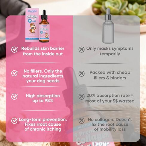 Bloom Triple Collagen for Dogs, Supports Joint Relief & Healthy Skin Coat, Gut Health, Collagen Supplement, 2 fl.oz in Kuwait