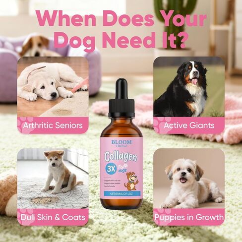 Bloom Triple Collagen for Dogs, Supports Joint Relief & Healthy Skin Coat, Gut Health, Collagen Supplement, 2 fl.oz in Kuwait