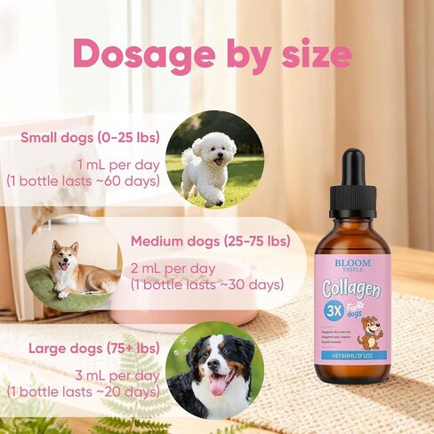 Bloom Triple Collagen for Dogs, Supports Joint Relief & Healthy Skin Coat, Gut Health, Collagen Supplement, 2 fl.oz in Kuwait