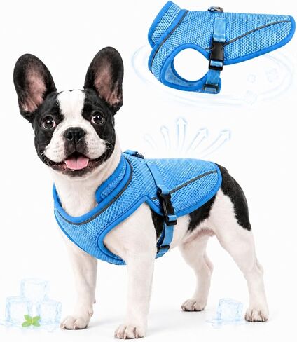 Dog Cooling Vest for Small Medium Large Dogs, 3-Layer Breathable Mesh Dog Cooling Jacket, Water-Activated Summer Cooling Coat with UV Neck Collar, Adjustable Buckle, Reflective Trim & Leash Opening in Saudi Arabia