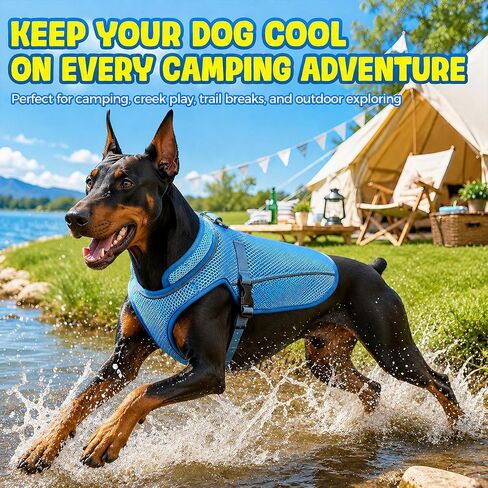 Dog Cooling Vest for Small Medium Large Dogs, 3-Layer Breathable Mesh Dog Cooling Jacket, Water-Activated Summer Cooling Coat with UV Neck Collar, Adjustable Buckle, Reflective Trim & Leash Opening in Saudi Arabia