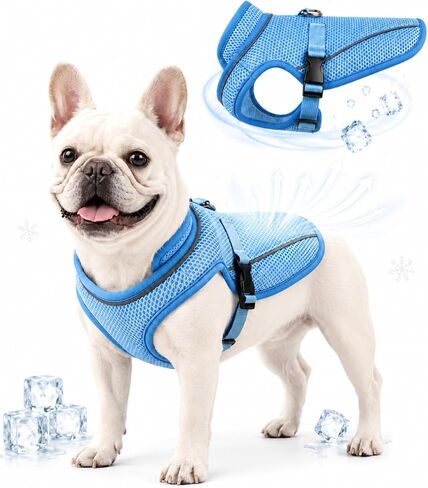 Dog Cooling Vest for Small Medium Large Dogs, 3-Layer Breathable Mesh Dog Cooling Jacket, Water-Activated Summer Cooling Coat with UV Neck Collar, Adjustable Buckle, Reflective Trim & Leash Opening in Saudi Arabia