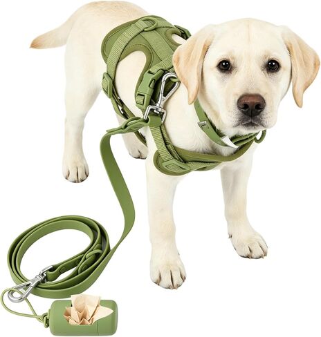 4 in 1 No Pull Dog Harness and Leash Set, with Collar & Poop Bag Dispenser, Adjustable Padded Waterproof Pet Harness for Small Medium Large Dogs, Easy Control for Walking Training Hiking (S) in Kuwait