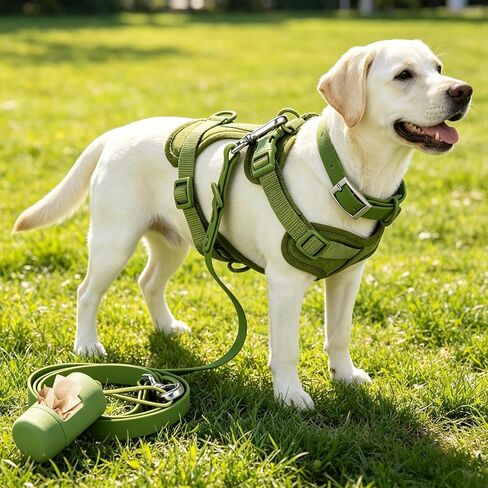 4 in 1 No Pull Dog Harness and Leash Set, with Collar & Poop Bag Dispenser, Adjustable Padded Waterproof Pet Harness for Small Medium Large Dogs, Easy Control for Walking Training Hiking (S) in Kuwait