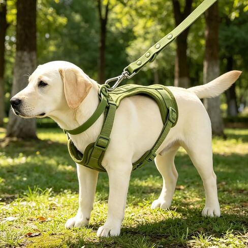 4 in 1 No Pull Dog Harness and Leash Set, with Collar & Poop Bag Dispenser, Adjustable Padded Waterproof Pet Harness for Small Medium Large Dogs, Easy Control for Walking Training Hiking (S) in Kuwait
