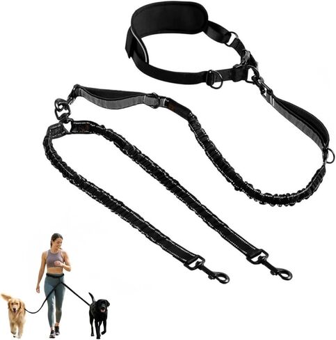 Heavy Duty Dog Leash Hands Free Bungee | Two Large Dogs Up to 250 lbs | Comfortable Shock Absorbing Bungee | Reflective Dual Padded Handles | Lumbar Waist Belt 24-42" | 360° Swivel Clips in Kuwait