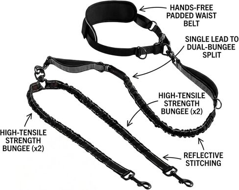 Heavy Duty Dog Leash Hands Free Bungee | Two Large Dogs Up to 250 lbs | Comfortable Shock Absorbing Bungee | Reflective Dual Padded Handles | Lumbar Waist Belt 24-42" | 360° Swivel Clips in Kuwait