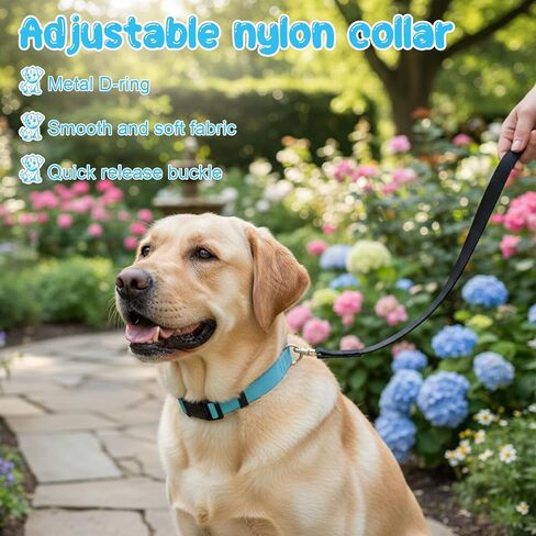 27 PCS Nylon Dog Collars, Adjustable Dog Collar for Small Medium Large Dogs Puppy Collars with Quick Release Buckle Safety Pet Collar for Walking Running Training(9 Bright Colors) in Kuwait