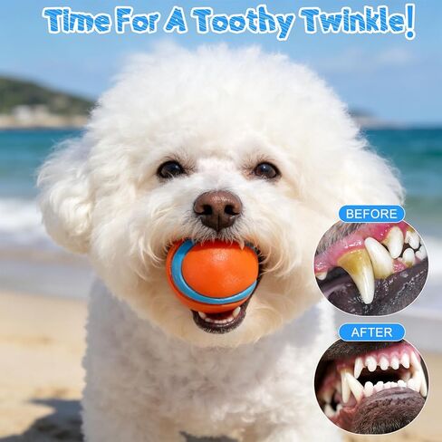 EXPAWLORER Floating Dog Water Pool Toys - 4 Pack Interactive Water Retrieving Fetch Speaky Chew Toy for Small Medium Large Dogs, Durable Dog Chew Toys for Summer Essentials Outdoor Beach Yard in Kuwait