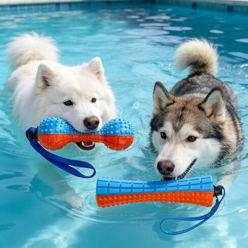 EXPAWLORER Floating Dog Water Pool Toys - 4 Pack Interactive Water Retrieving Fetch Speaky Chew Toy for Small Medium Large Dogs, Durable Dog Chew Toys for Summer Essentials Outdoor Beach Yard in Kuwait