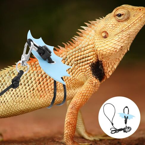 Tofficu Adjustable Blue Reptile Traction Rope and Lizard Harness Leash Set for Small Bearded Dragons Outdoor Walking Pet Supplies in Kuwait