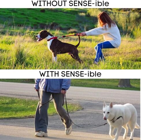 سرج تدريب الكلاب الأصلي Sense-ible No-Pull (أحمر، متوسط-كبير عريض) in Kuwait