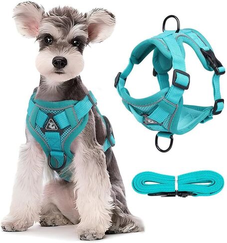 Dog Harness with Leash Set, No Pull Adjustable Reflective Mesh Puppy Pet Vest Harnesses for Small Medium Dogs and Cats (Turquoise, Large) in Kuwait