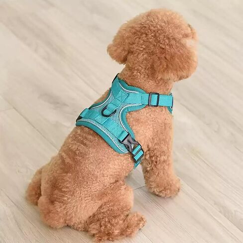 Dog Harness with Leash Set, No Pull Adjustable Reflective Mesh Puppy Pet Vest Harnesses for Small Medium Dogs and Cats (Turquoise, Large) in Kuwait