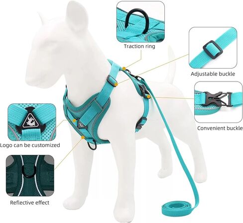 Dog Harness with Leash Set, No Pull Adjustable Reflective Mesh Puppy Pet Vest Harnesses for Small Medium Dogs and Cats (Turquoise, Large) in Kuwait
