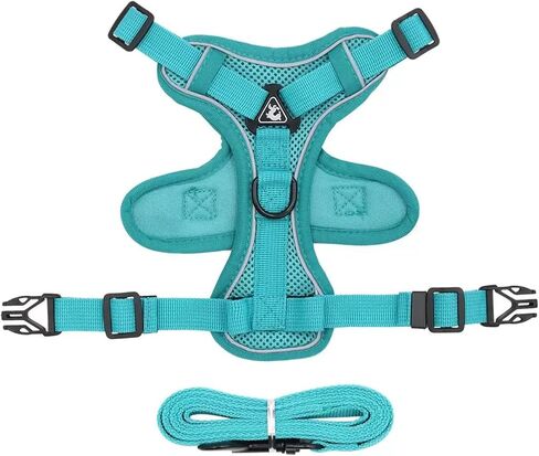 Dog Harness with Leash Set, No Pull Adjustable Reflective Mesh Puppy Pet Vest Harnesses for Small Medium Dogs and Cats (Turquoise, Large) in Kuwait