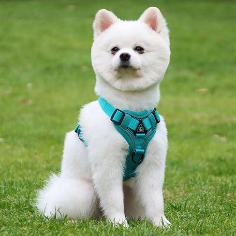 Dog Harness with Leash Set, No Pull Adjustable Reflective Mesh Puppy Pet Vest Harnesses for Small Medium Dogs and Cats (Turquoise, Large) in Kuwait
