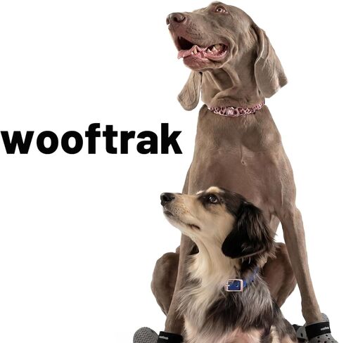 طوق كلب كريستال K9 فاخر - جلد من الألياف الدقيقة مقاوم للماء ومقاوم للاهتراء مع أحجار الراين المرصعة يدويًا، مشبك معدني متين، طوق بلينغ قابل للتعديل للكلاب الصغيرة والمتوسطة والكبيرة (الفهد الوردي، L) in Kuwait