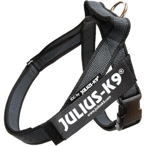 Julius-K9 IDC Color & Gray Belt Harness for Dogs, Mini Size, Black-Gray in Kuwait