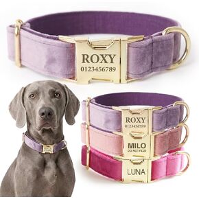 Dog Collar Personalized with Name Engraved - Light Gold Quick Release Buckle, Soft Velvet Lined, Comfortable Gift for Small, Medium, Large Dogs in Kuwait